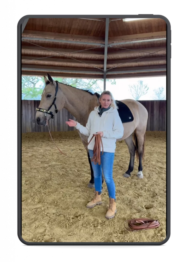 Video Doppellonge befestigen