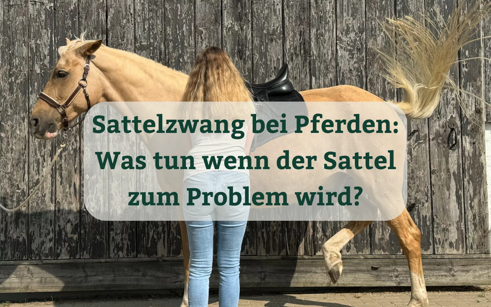 Sattelzwang verstehen und lösen