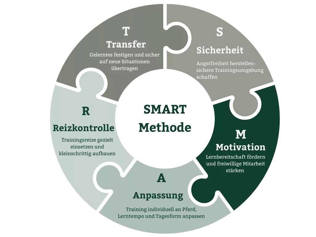 SMART-Methode Schaubild